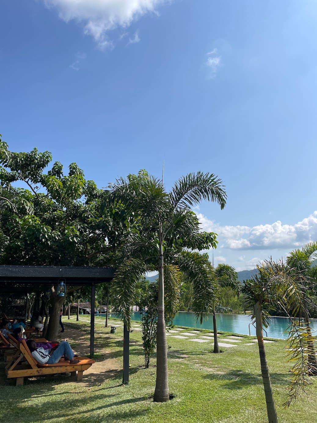 Beautiful resort grounds with palm trees and a serene poolside setting