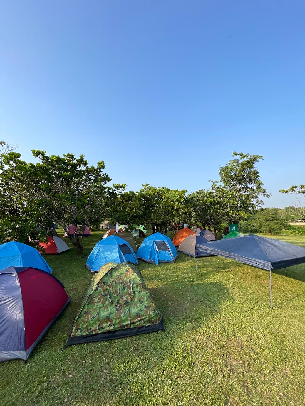 Colorful tents arranged on a wide green field under clear skies